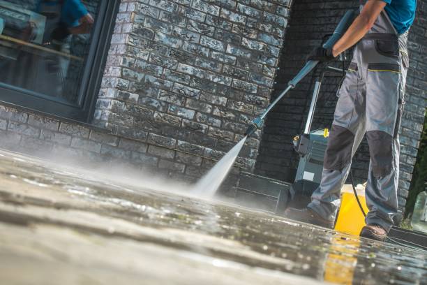 Best Driveway Cleaning and Restoration in Clay, CA